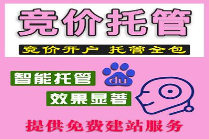 案例解析：SEM竞价策略优化技巧